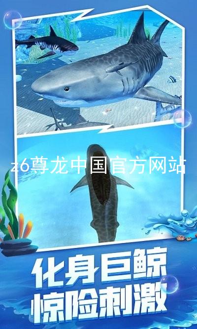 z6尊龙中国官方网站