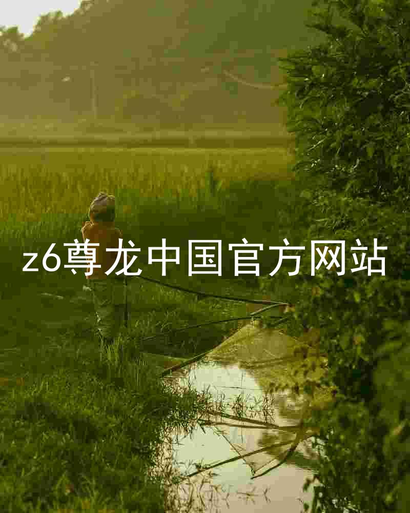 z6尊龙中国官方网站