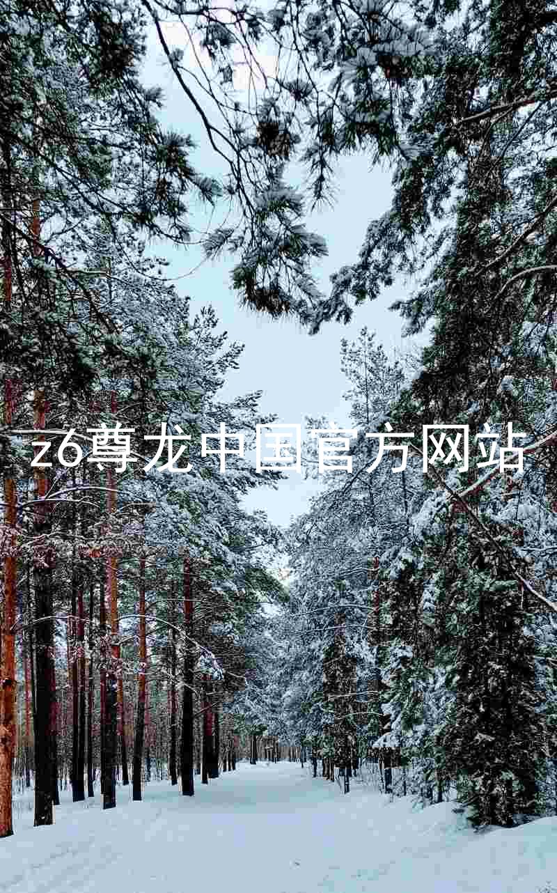 z6尊龙中国官方网站