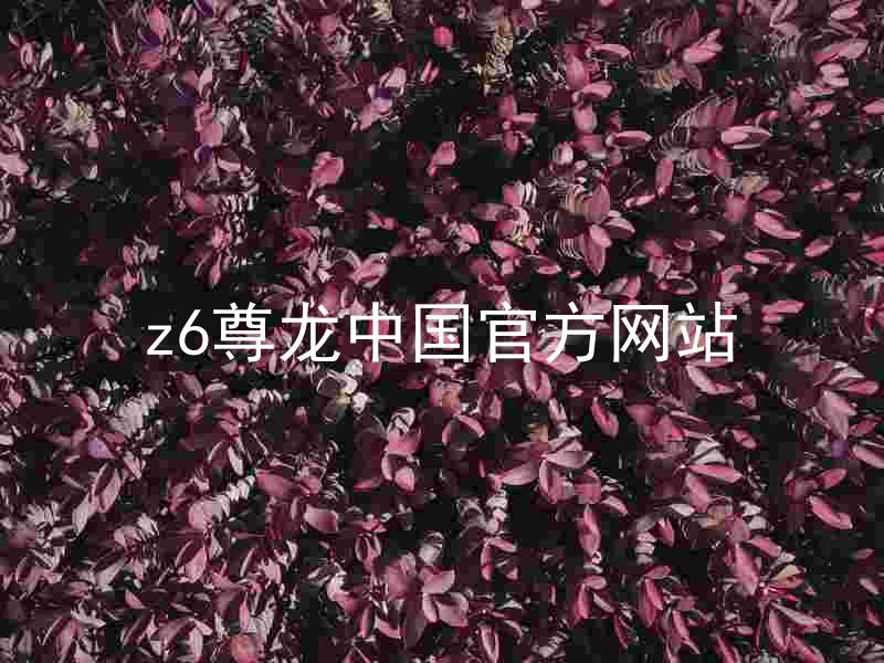 z6尊龙中国官方网站