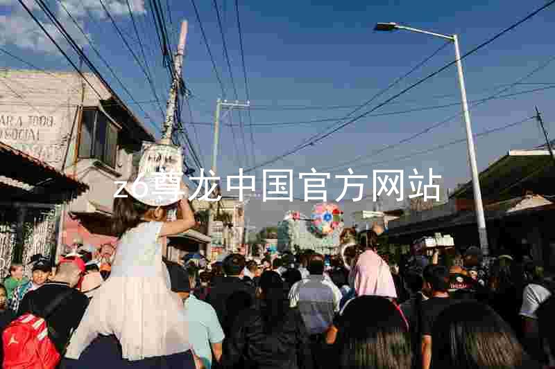 z6尊龙中国官方网站